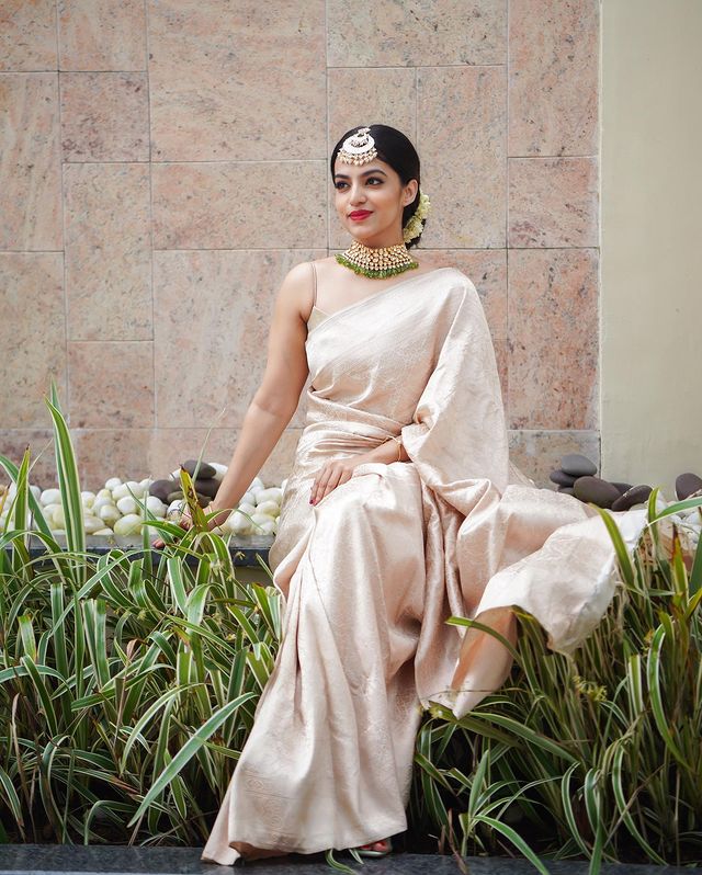 Traditional Kanjivaram Silk Saree with Intricate Prints