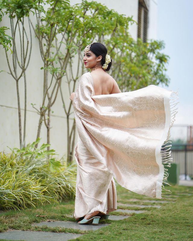 Traditional Kanjivaram Silk Saree with Intricate Prints